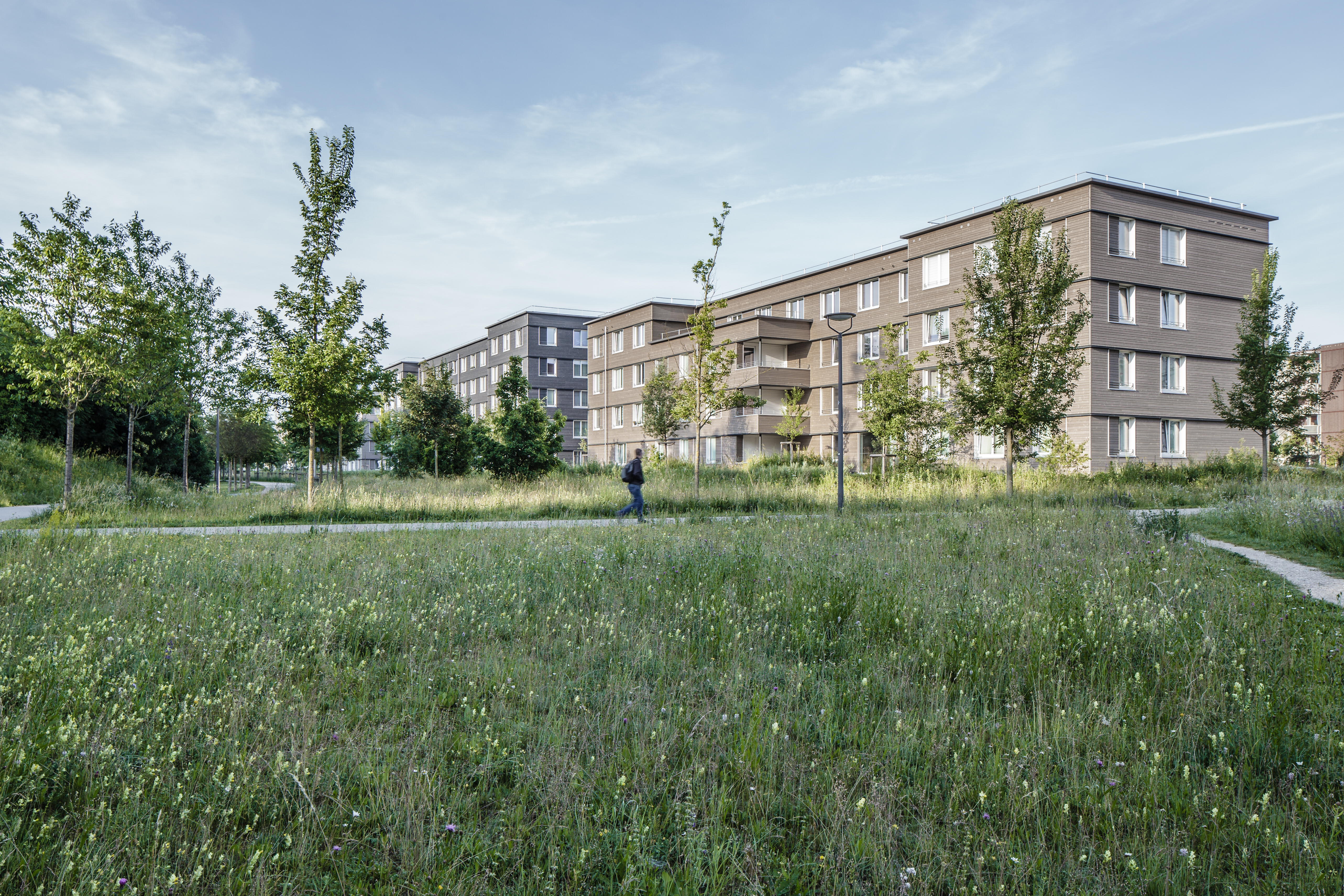 Wohngebäude mit Holzfassade am Rand einer großen Grünfläche mit Wegen und Bäumen.