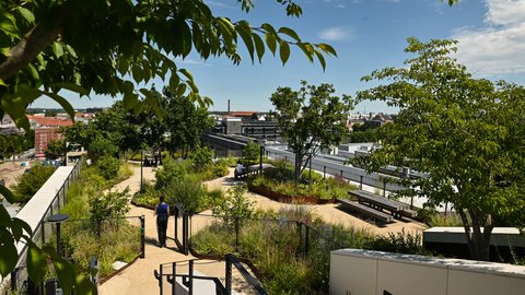 "Erhöhter Blick auf einen begrünten Dachgarten mit natürlichen Wegen, diversen Stauden, Gräsern und jungen Bäumen. Ein einzelner Besucher läuft durch den Garten. Rundherum moderne Gebäude mit Glastüren, Metallgeländer und Sichtbeton. Im Hintergrund urbane Stadtlandschaft mit Dächern verschiedener Gebäude und klarem Himmel."