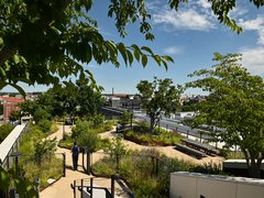"Erhöhter Blick auf einen begrünten Dachgarten mit natürlichen Wegen, diversen Stauden, Gräsern und jungen Bäumen. Ein einzelner Besucher läuft durch den Garten. Rundherum moderne Gebäude mit Glastüren, Metallgeländer und Sichtbeton. Im Hintergrund urbane Stadtlandschaft mit Dächern verschiedener Gebäude und klarem Himmel."