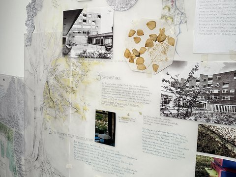 Eine kuratierte Wandcollage zeigt historische Schwarz-Weiß-Architekturfotos, getrocknete und gepresste Blüten in geometrischen Formen, handgeschriebene Texte und botanische Listen.