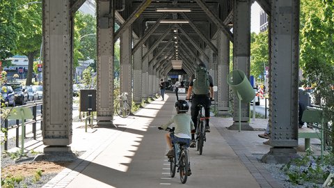 Fahrradfahrer unter einer Stahlbrücke auf einem Radweg mit weißen Markierungen und grünen Bäumen am Rand
