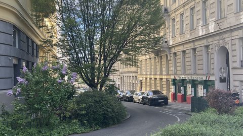Eine gepflasterte, leicht kurvige Straße mit dichtem Grün, Bäumen und Altbauten, an deren Rand eine Pizzeria zu sehen ist.