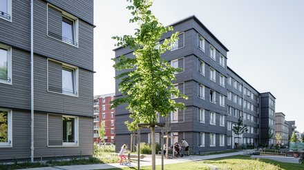 Wohnanlage mit mehrgeschossigen Gebäuden, Grünflächen und jungen Bäumen entlang eines Fußwegs.
