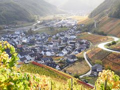 Blick über herbstlich gefärbte Weinberge hinab auf eine Ortschaft in einem sonnigen Flusstal.