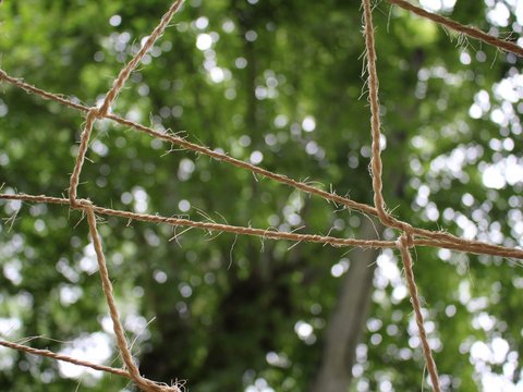 Seilnetz aus Naturfasern vor unscharfem grünem Wald.