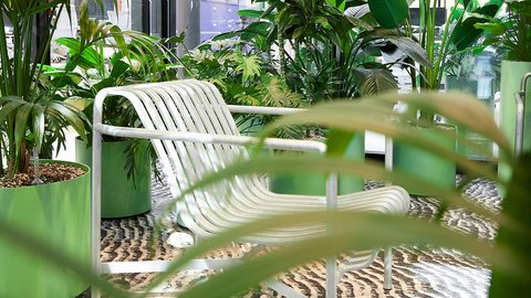 Begrünter Aufenthaltsbereich: Sitzbank und zahlreiche Zimmerpflanzen vor bodentiefen Fenstern.