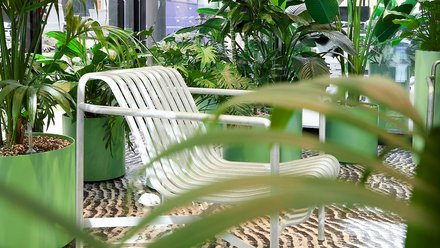 Begrünter Aufenthaltsbereich: Sitzbank und zahlreiche Zimmerpflanzen vor bodentiefen Fenstern.