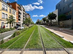 "Moderne urbane Straße mit begrünten Straßenbahngleisen in der Mitte. Links und rechts Wohngebäude in verschiedenen Farben: Gelb, Orange, Weiß und Grau. Grüne Bäume säumen die Straße. Ein weißes Auto parkt links. Mehrere Fußgänger sind auf der rechten Seite zu sehen. Der Himmel ist blau mit weißen Wolken. Stromkabel verlaufen über der Straße."