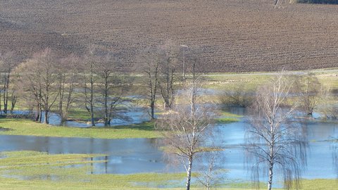 Luftaufnahme einer Flusslandschaft mit Wiesen, Äckern und kahlen Bäumen, mehrere Gewässer mit blauem Wasser durchziehen die grünen Wiesen, braun gepflügte Felder mit Pflugfurchen im oberen Bereich, vereinzelte nackte Bäume und Weidenbäume säumen die Ufer