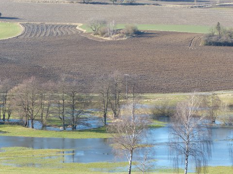 Luftaufnahme einer Flusslandschaft mit Wiesen, Äckern und kahlen Bäumen, mehrere Gewässer mit blauem Wasser durchziehen die grünen Wiesen, braun gepflügte Felder mit Pflugfurchen im oberen Bereich, vereinzelte nackte Bäume und Weidenbäume säumen die Ufer