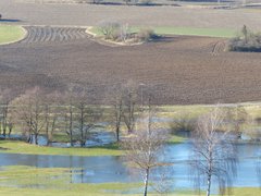 Luftaufnahme einer Flusslandschaft mit Wiesen, Äckern und kahlen Bäumen, mehrere Gewässer mit blauem Wasser durchziehen die grünen Wiesen, braun gepflügte Felder mit Pflugfurchen im oberen Bereich, vereinzelte nackte Bäume und Weidenbäume säumen die Ufer