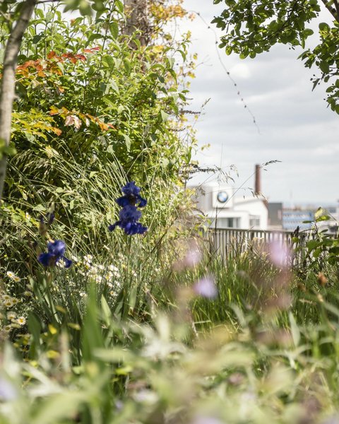 Natur, im Hintergrund ist eine Stadt zu erkennen