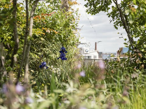 Natur, im Hintergrund ist eine Stadt zu erkennen
