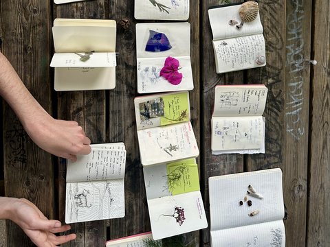 Ein hölzerner Tisch voller aufgeschlagener Notizbücher und Skizzenbücher, umgeben von gepressten Pflanzen, einzelnen Blättern, Muscheln und kleinen Fundstücken.