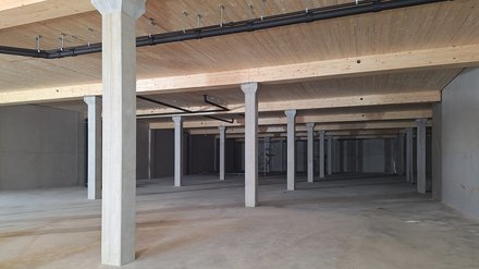 Große Rohbauhalle: Reihen aus Betonstützen tragen Holzträger und -decke; schwarze Leitungen hängen darunter, Boden und Wände sind unverkleidet.