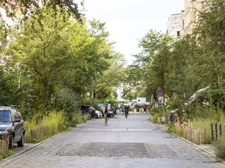 Begrünte Wohnstraße mit Bäumen, Wildpflanzen, parkenden Autos und Radfahrenden auf gepflasterter Fahrbahn.