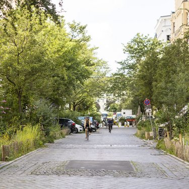 Begrünte Wohnstraße mit Bäumen, Wildpflanzen, parkenden Autos und Radfahrenden auf gepflasterter Fahrbahn.