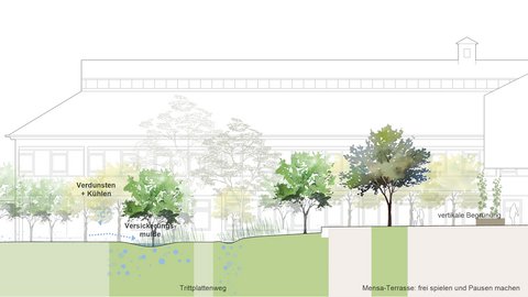 Architektonischer Geländeschnitt/Profilzeichnung der Außenanlagen vor den Schulgebäuden. Die Zeichnung illustriert das Schwammstadt- und Regenwasserkonzept: Dargestellt sind versickerungsfähige Mulden, Abenteuerwege und Trittplattenwege zwischen Bäumen und Bepflanzung. Blau gestrichelte Pfeile verdeutlichen, wie anfallendes Regenwasser aufgefangen, zurückgehalten, versickert sowie zur Verdunstung und Kühlung genutzt wird.