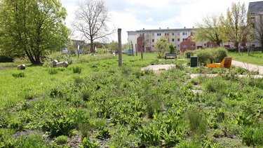 Naturnah gestalteter Quartiersspielplatz mit Wiesenflächen, Wegen und Sitzgelegenheiten.