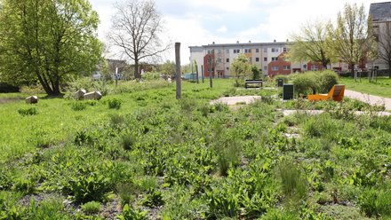 Naturnah gestalteter Quartiersspielplatz mit Wiesenflächen, Wegen und Sitzgelegenheiten.