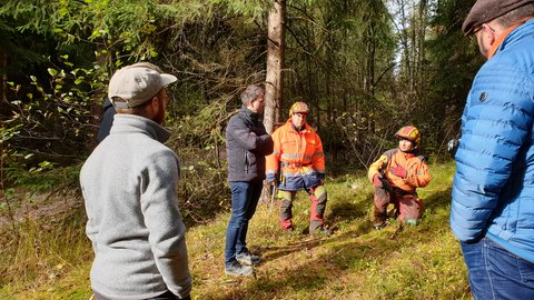 Waldszene: Mehrere Erwachsene stehen im Halbkreis; zwei Forstarbeiter in orangefarbener Schutzkleidung mit Helmen erklären etwas, einer kniet am Boden. 