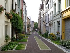 Stadtbegrünung in Antwerpen