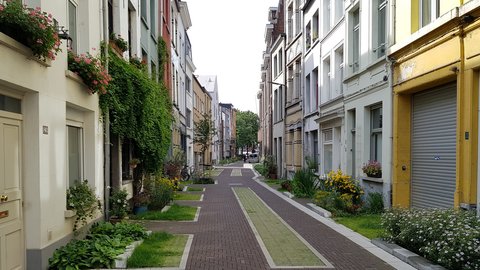 Stadtbegrünung in Antwerpen