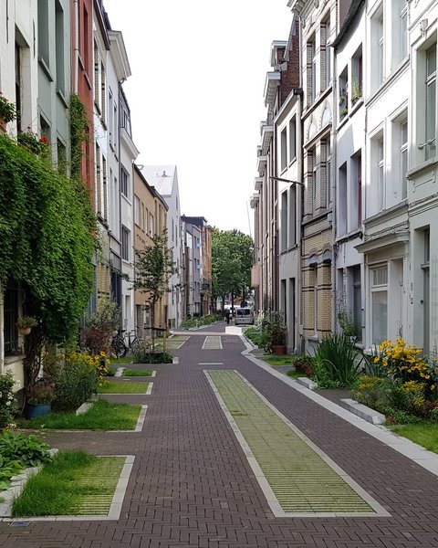 Stadtbegrünung in Antwerpen