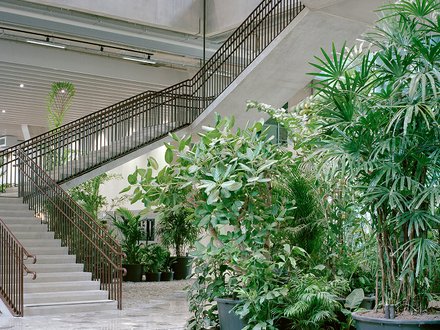 Helles offenes Treppenhaus mit dunklem Geländer; Innenansicht eines mehrstöckigen Raumes; im Erdgeschoss befinden sich große Pflanzen