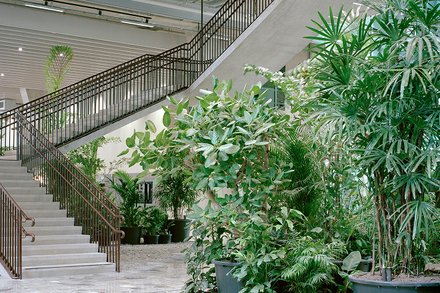 Helles offenes Treppenhaus mit dunklem Geländer; Innenansicht eines mehrstöckigen Raumes; im Erdgeschoss befinden sich große Pflanzen