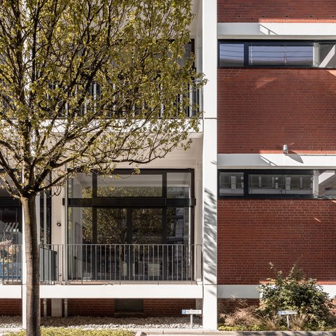 Fassade eines modernen Gebäudes mit großen Fenstern und einem Baum im Vordergrund