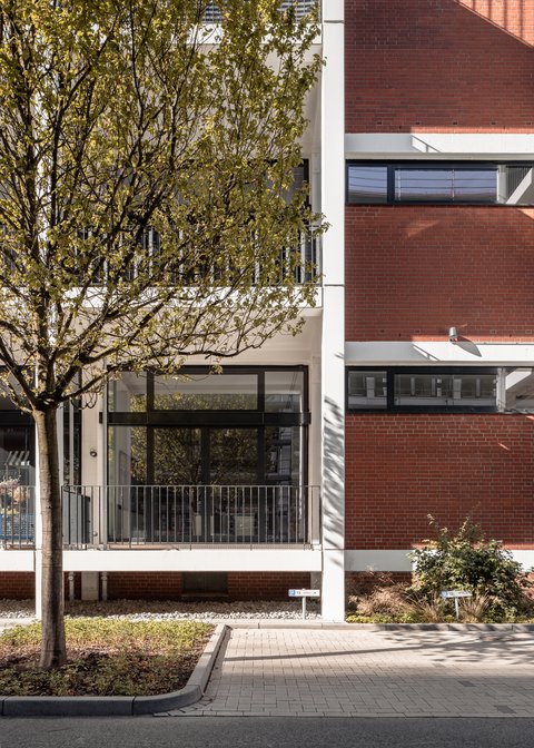 Fassade eines modernen Gebäudes mit großen Fenstern und einem Baum im Vordergrund