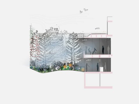 „Ein architektonischer Querschnitt, der rechts ein zweistöckiges Gebäude mit Personen zeigt, die durch eine offene Fassade auf einen direkt angrenzenden, dichten Wald auf hügeligem Terrain blicken.“