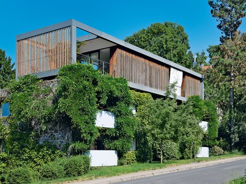 "Modernes Wohnhaus mit zwei Geschossen, teilweise überwuchert von dichtem grünem Efeu und wild wachsenden Pflanzen. Das Gebäude hat eine asymmetrische Form mit horizontalen Bändern aus rotbraunem Holz und weißen Wandflächen. Die obere rechte Ecke zeigt ein modernes Vordach mit vertikalen Holzlatten und schwarzem Stahlrahmen. Ein großes quadratisches Fenster mit blauem Rahmen ist auf der linken Seite sichtbar. Das Haus ist umgeben von hohen Bäumen unter klarem, blauem Himmel. Ein Asphaltweg führt an der rechten Seite des Hauses vorbei. Die wilde Begrünung verleiht dem modernen Gebäude einen organischen, naturverbundenen Charakter."