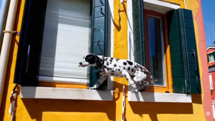 Dalmatiner balanciert auf der Fensterbank eines gelben Hauses mit grünen Fensterläden.