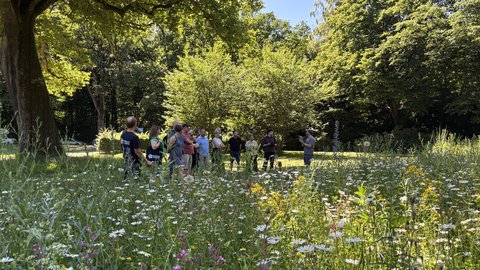 Eine Gruppe von etwa zehn Personen steht auf einem Pfad inmitten einer hohen Wildblumenwiese mit weißen Gänseblümchen und lila Blüten. Ein großer, alter Baum steht links, dahinter dichte grüne Bäume. Die Menschen schauen zu einer Person, die etwas erklärt.