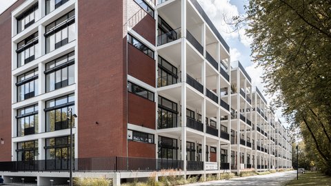 Moderner mehrstöckiger Bürokomplex mit großen Fenstern und Balkonen an einer Baumallee