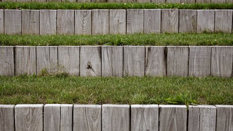 Frontalansicht terrassenförmiger Betonstufen mit begrünten Zwischenräumen.
