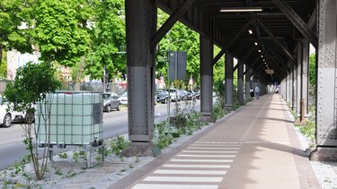 Radweg unter einer Hochbahn, getrennte Spur mit Markierungen, bepflanzte Streifen und Wassertank zur Bewässerung.