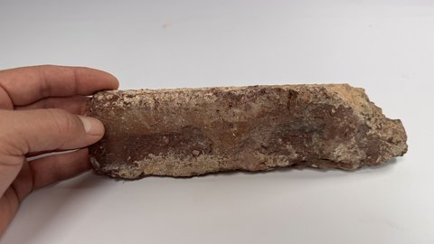 Hand hält längliches, unregelmäßig geformtes, bräunliches Materialstück mit rauer Oberfläche