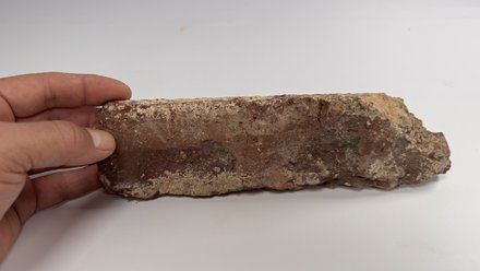 Hand hält längliches, unregelmäßig geformtes, bräunliches Materialstück mit rauer Oberfläche