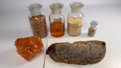 Fünf Glasgefäße mit verschiedenen festen und flüssigen Stoffen sowie zwei große Harzstücke auf weißem Untergrund