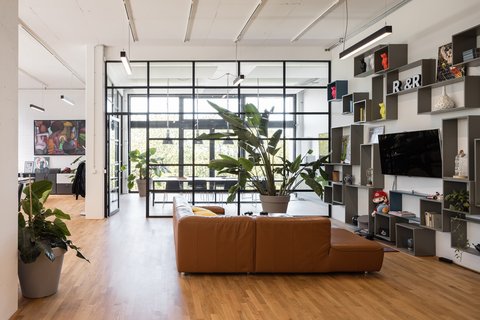 Offener Wohnraum mit braunem Ledersofa, großen Pflanzen und moderner Regalkonstruktion mit Fernseher