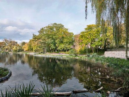 Stadtoase Ostpark in Landau in der Pfalz, einige Bäume stehen um ein Gewässer.