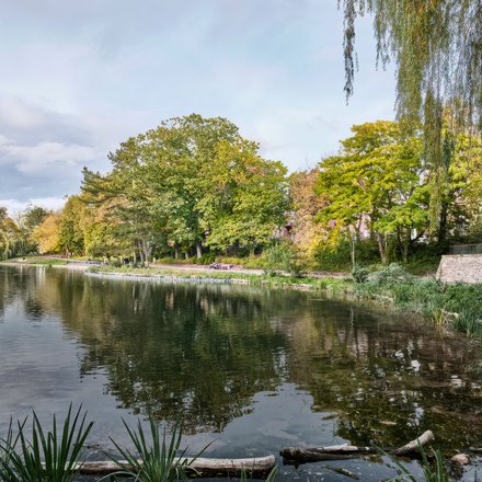 Stadtoase Ostpark in Landau in der Pfalz, einige Bäume stehen um ein Gewässer.