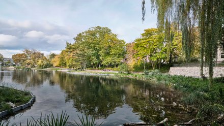Stadtoase Ostpark in Landau in der Pfalz, einige Bäume stehen um ein Gewässer.