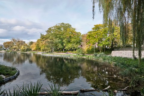 Stadtoase Ostpark in Landau in der Pfalz, einige Bäume stehen um ein Gewässer.