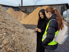 Zwei Personen begutachten Holzschnitzel an großen Spänehaufen im Sägewerk; eine trägt Warnweste; im Hintergrund Schornstein mit Dampf.