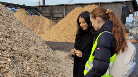 Zwei Personen begutachten Holzschnitzel an großen Spänehaufen im Sägewerk; eine trägt Warnweste; im Hintergrund Schornstein mit Dampf.