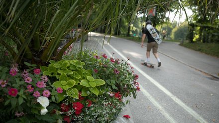 Verkehrsberuhigte Straße mit Begrünung und einem Skateboard Fahrer im Hintergrund.